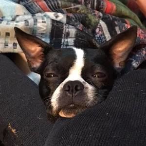 Meet your Posher, James